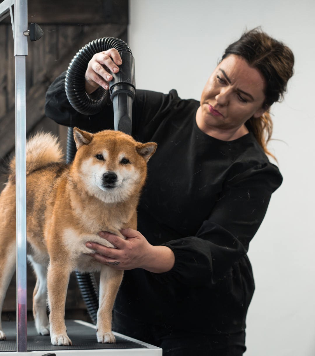 Langeskov Hundesalon