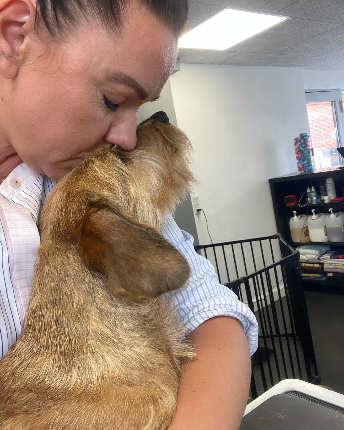 Langeskov Hundesalon