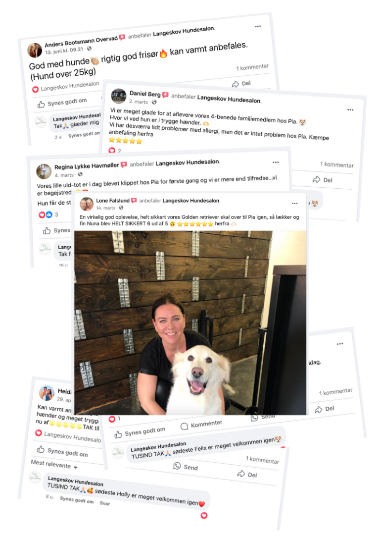 Langeskov Hundesalon Anmeldelser